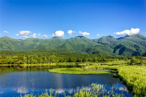 知床五湖・高架木道（夏頃撮影）
